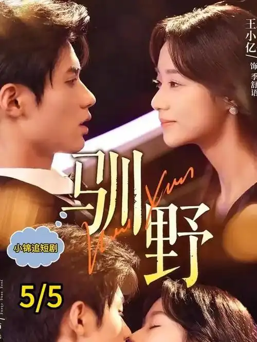 山河故人录 古装剧全集在线观看